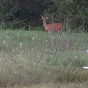 Meet your Posher, Cathy